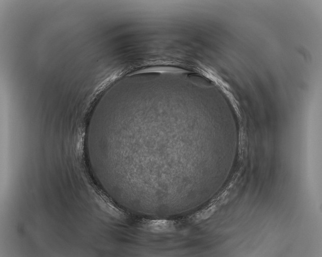 X0000113600153200909251203