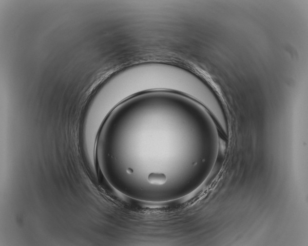 X0000113600154200909251203