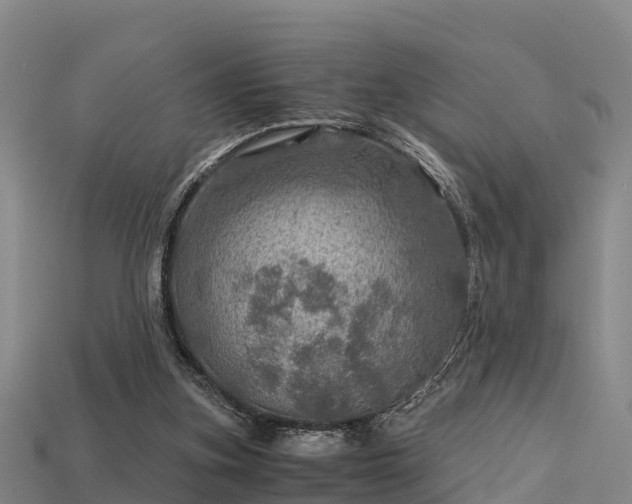 X0000113600155200909251203