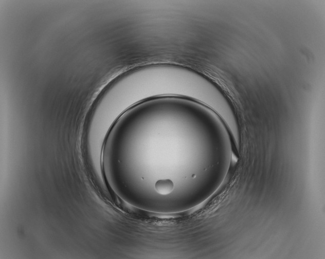 X0000113600156200909251203