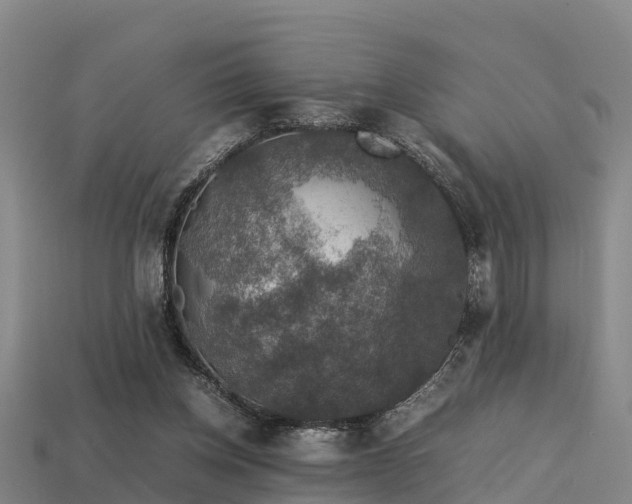 X0000113600158200909251203