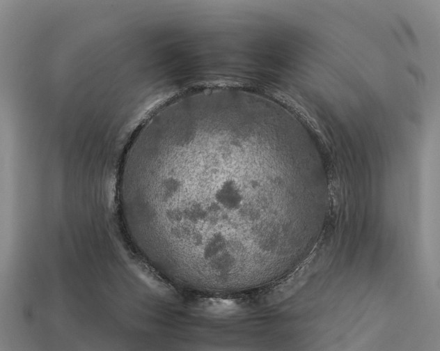 X0000113600159200909251203