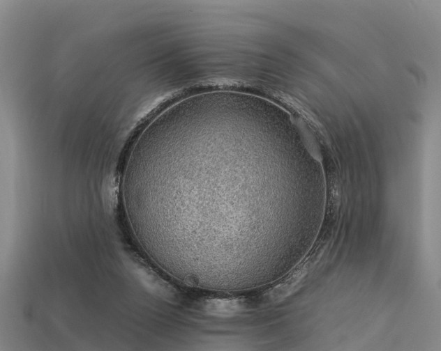 X0000113600160200909251203