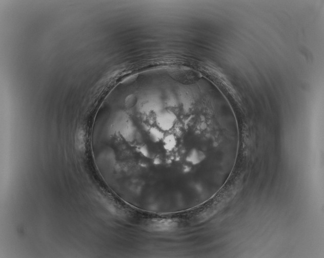 X0000113600161200909251203