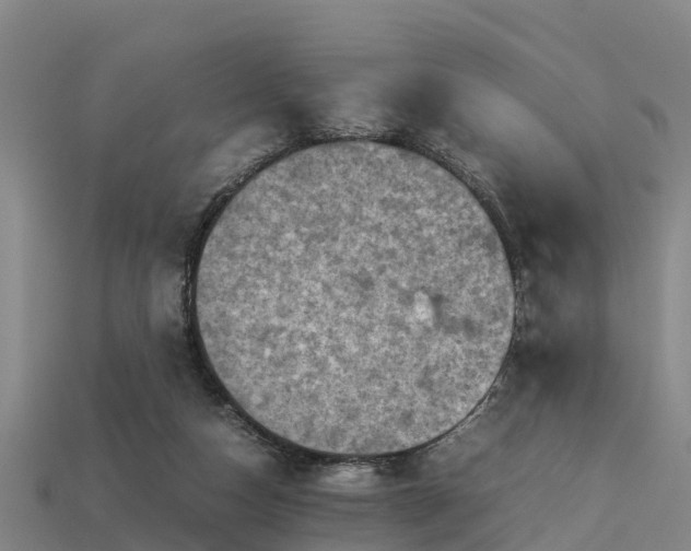 X0000113600162200909251203