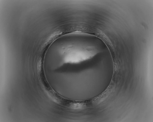 X0000113600163200909251203