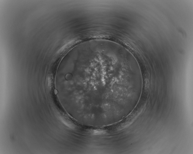 X0000113600165200909251203