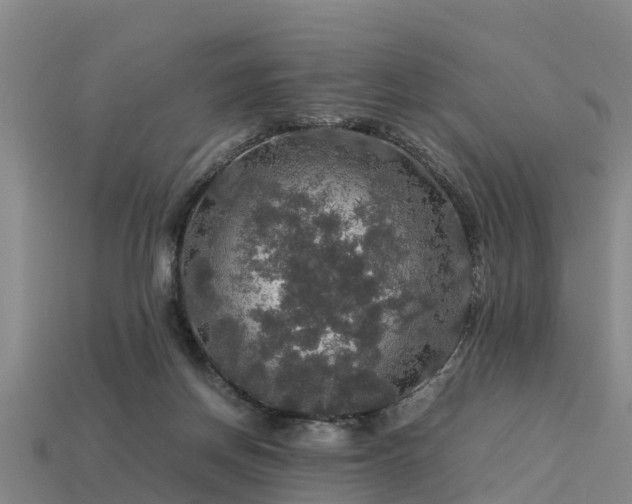 X0000113600166200909251203