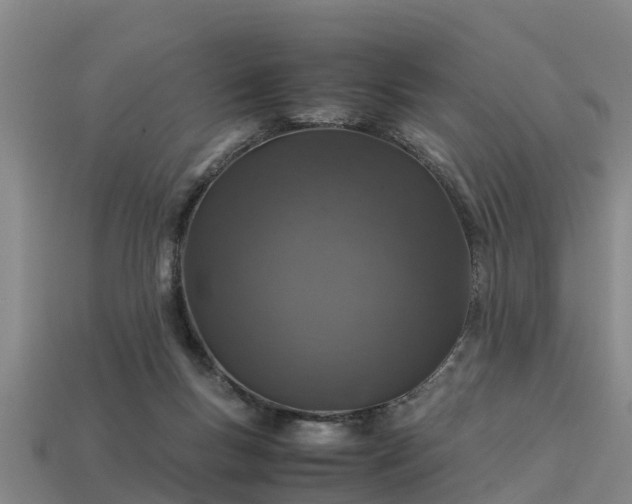 X0000113600167200909251203