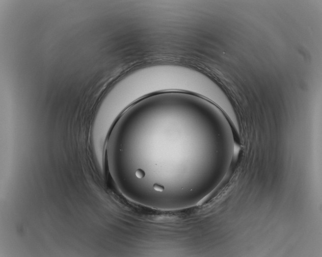 X0000113600168200909251203