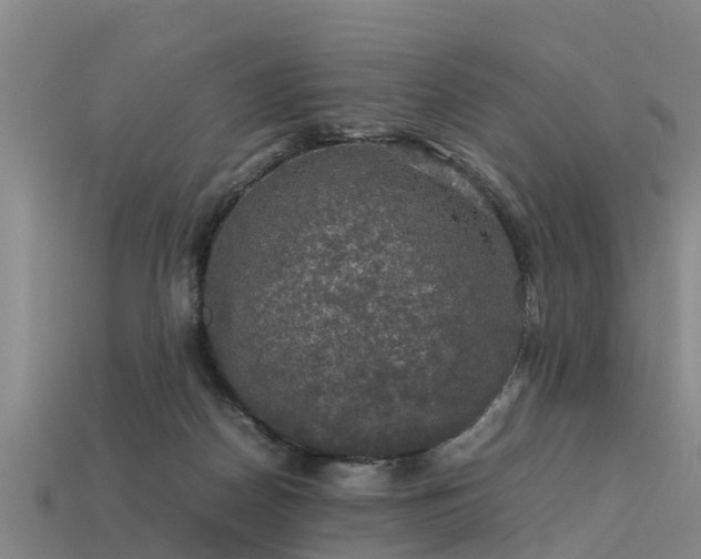 X0000113600170200909251203