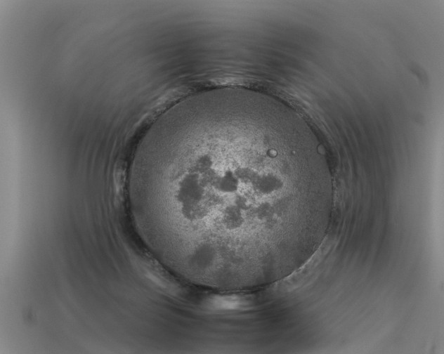 X0000113600171200909251203