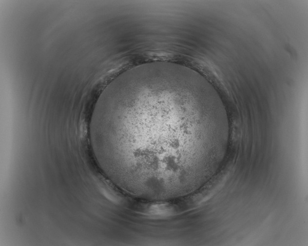 X0000113600173200909251203