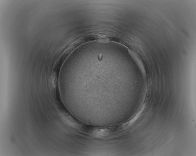 X0000113600174200909251203