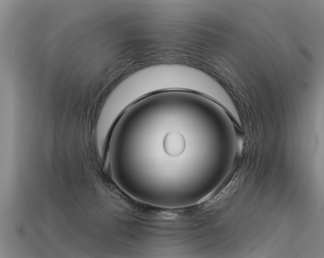 X0000113600176200909251203