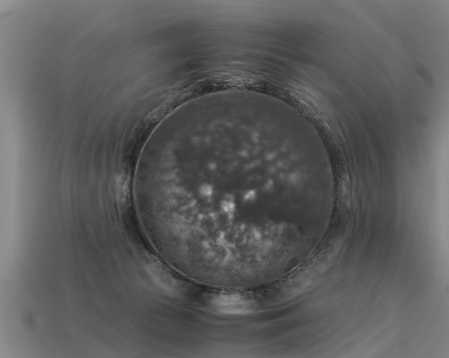 X0000113600177200909251203