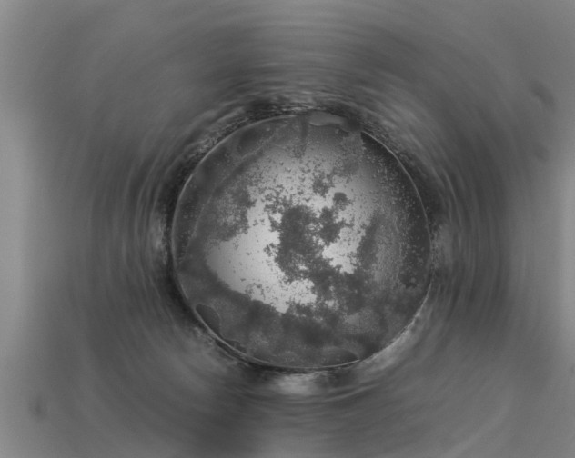 X0000113600178200909251204