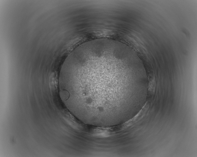 X0000113600179200909251204