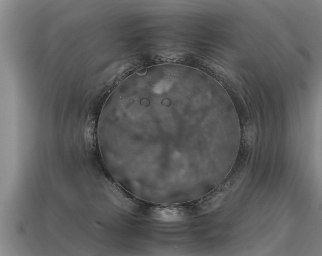 X0000113600181200909251204