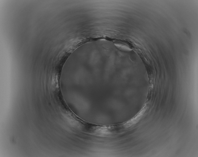 X0000113600182200909251204