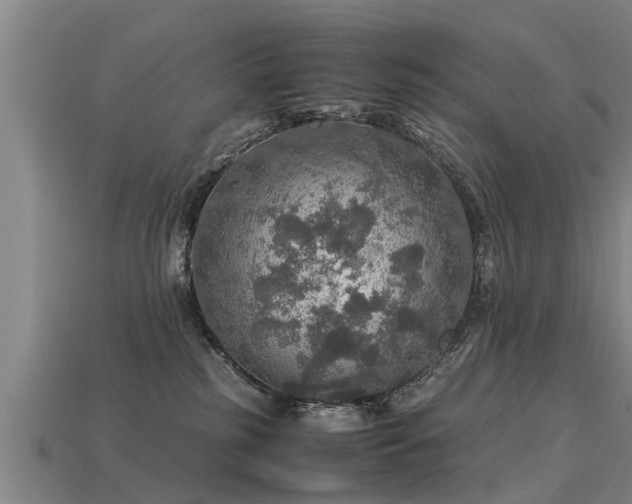 X0000113600185200909251204