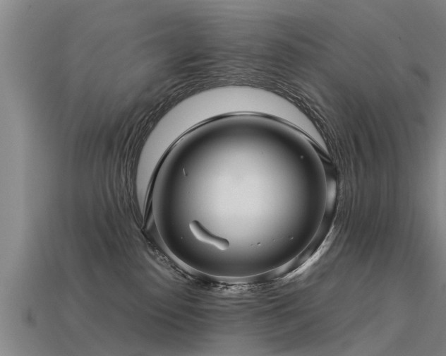 X0000113600186200909251204