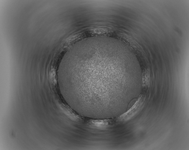 X0000113600187200909251204