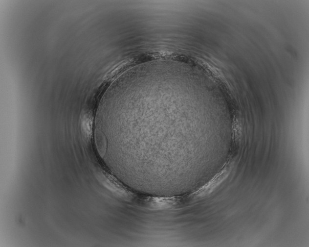 X0000113600188200909251204