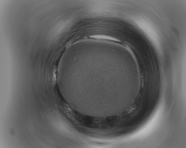 X0000113600190200909251204