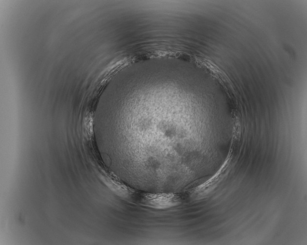 X0000113600191200909251204