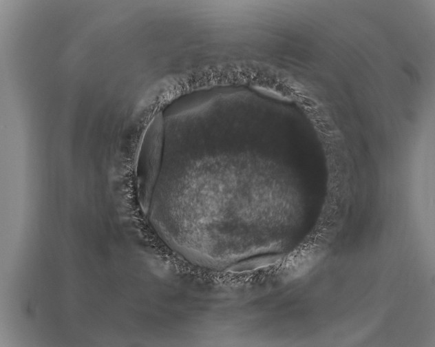 X0000113600192200909251204