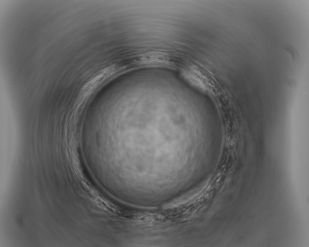 X0000113600193200909251203