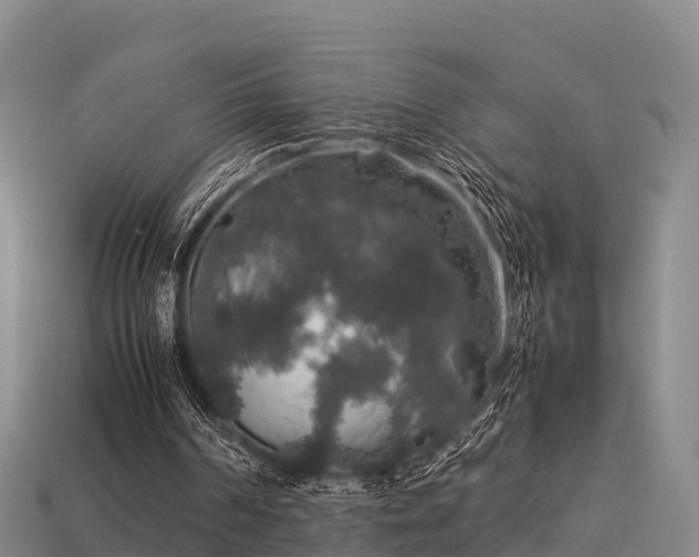 X0000113600194200909251203