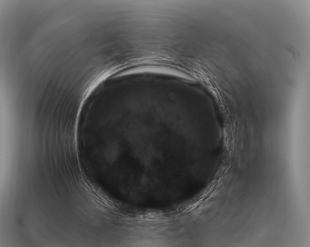 X0000113600196200909251203