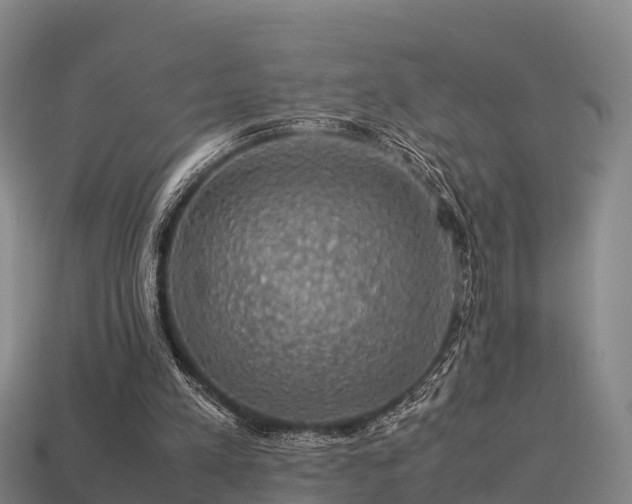 X0000113600197200909251203