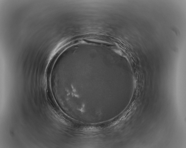 X0000113600198200909251203