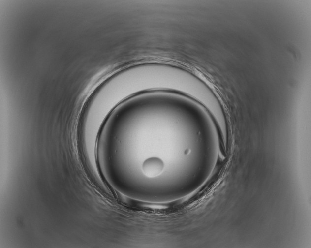 X0000113600199200909251203