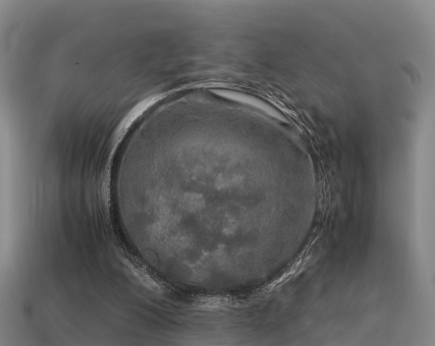 X0000113600200200909251203