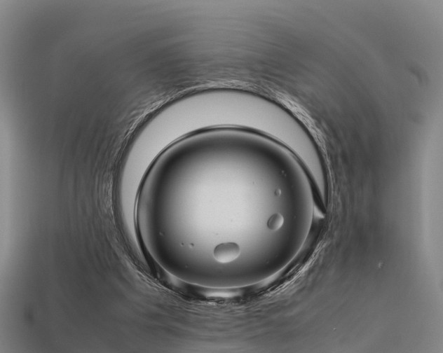 X0000113600201200909251203