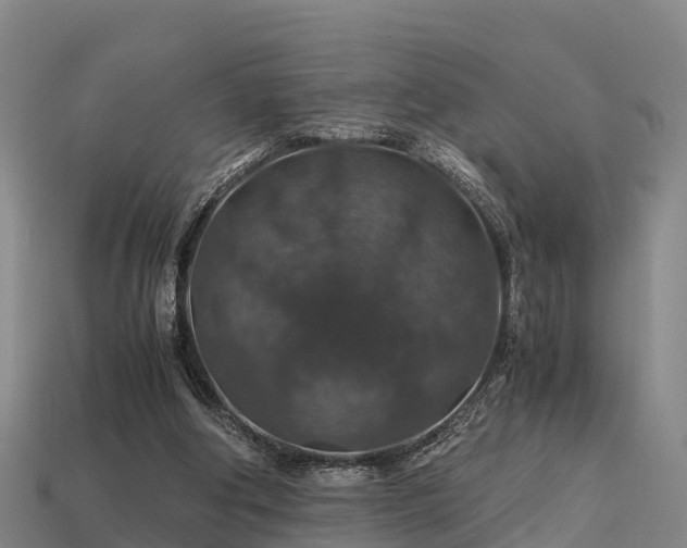 X0000113600202200909251203