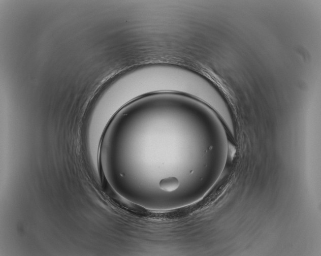 X0000113600203200909251203