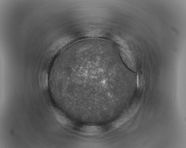 X0000113600205200909251203