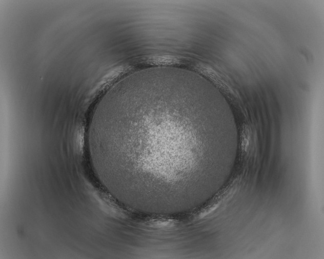 X0000113600206200909251203