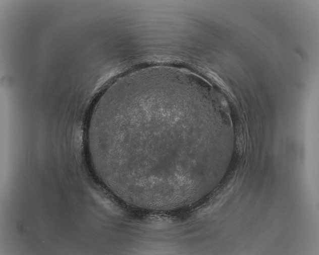 X0000113600207200909251203