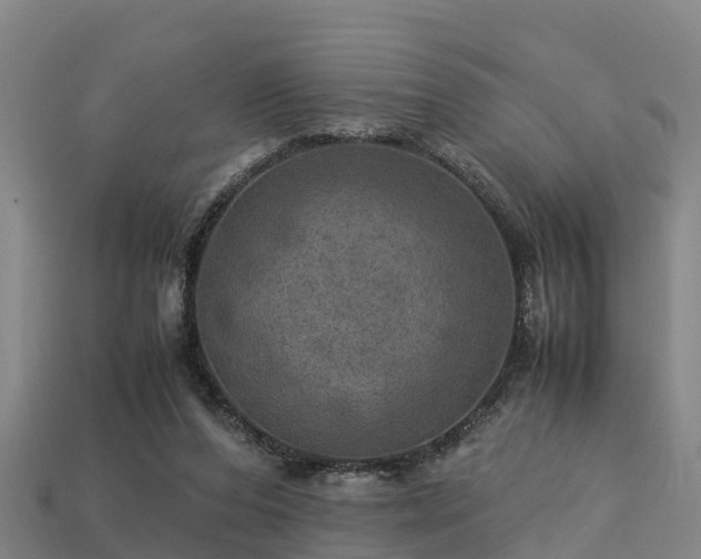 X0000113600208200909251203