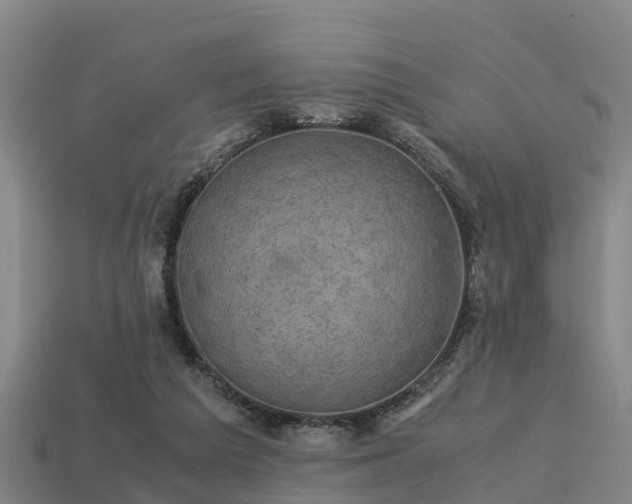 X0000113600209200909251203