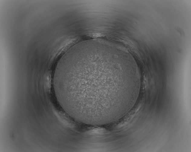 X0000113600210200909251203