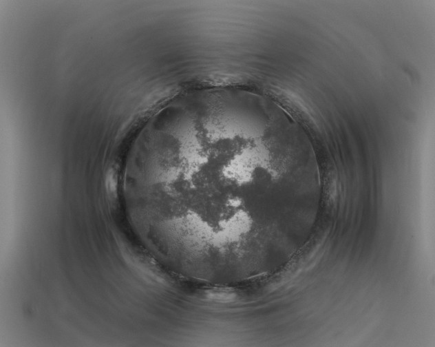 X0000113600214200909251203