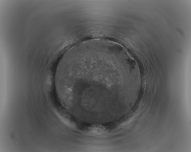 X0000113600215200909251203