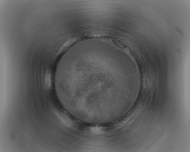 X0000113600216200909251203